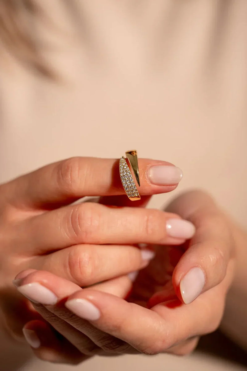 Lourdes | Anillo del Paraíso
